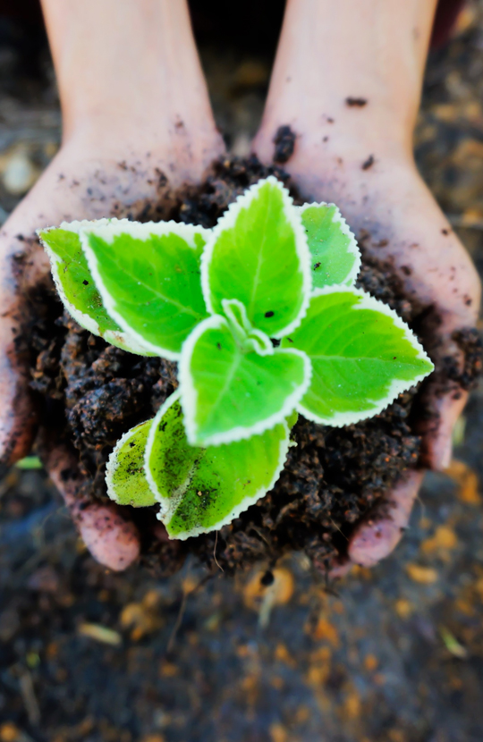 Biodegrable auxiliaries Biodegrable auxiliaries